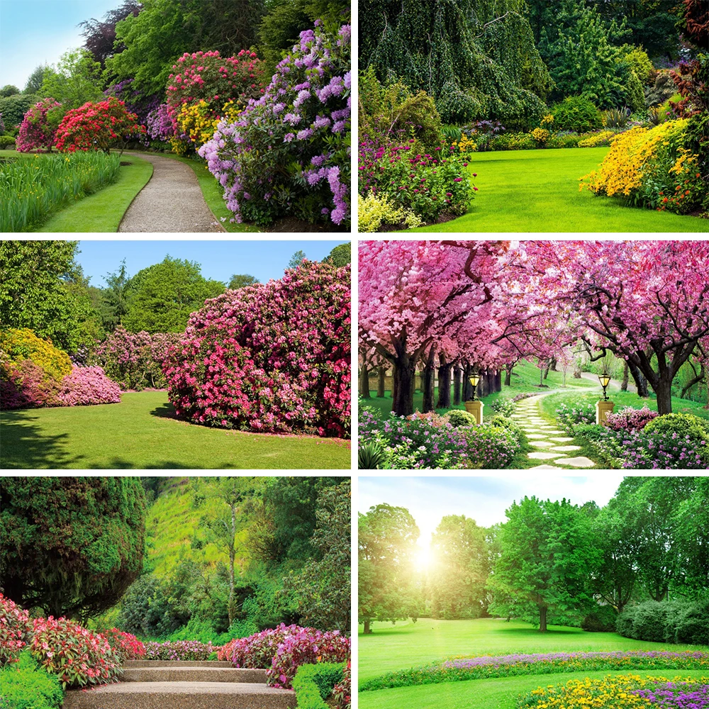 האביב טבע נוף גן פארק תפאורות לצלמים עצים פרחים גראסלאנד עיצוב היילוד צילום דיוקן רקע התמונה 0