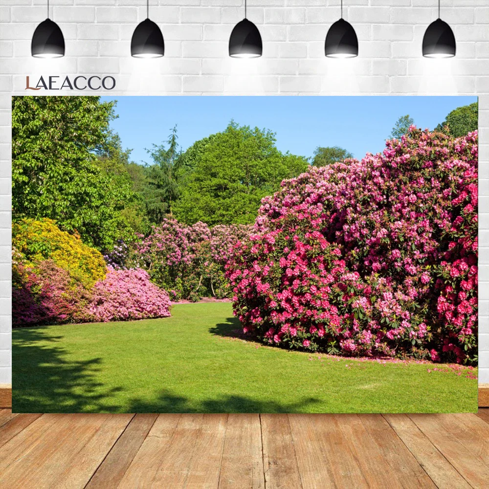 האביב טבע נוף גן פארק תפאורות לצלמים עצים פרחים גראסלאנד עיצוב היילוד צילום דיוקן רקע התמונה 1