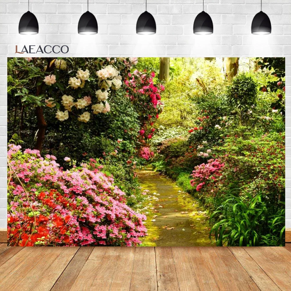 האביב טבע נוף גן פארק תפאורות לצלמים עצים פרחים גראסלאנד עיצוב היילוד צילום דיוקן רקע התמונה 4