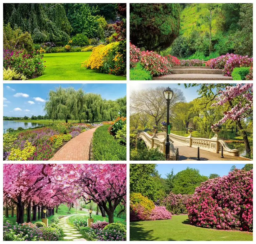 האביב טבע נוף גן פארק תפאורות לצלמים עצים פרחים גראסלאנד עיצוב היילוד צילום דיוקן רקע התמונה 5